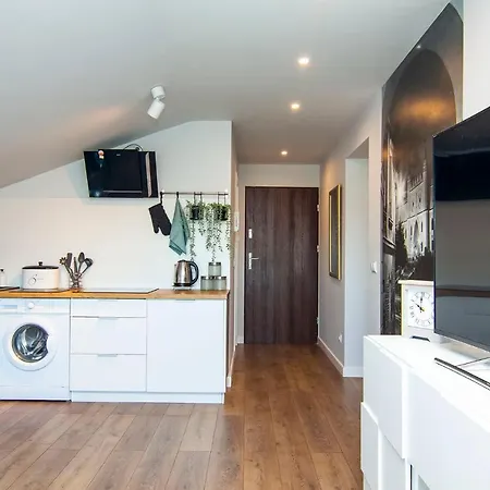 Loft Krancowa מלון *